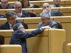 José Antonio Griñán en el Senado