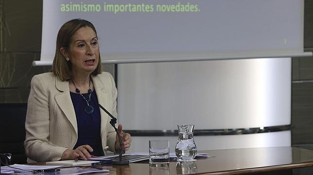 La ministra de Fomento se desplaza a Sevilla para ponerse al frente del dispositivo