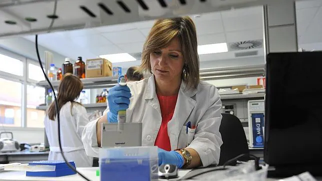 Los grandes laboratorios de España se plantan ante las subastas de la Junta