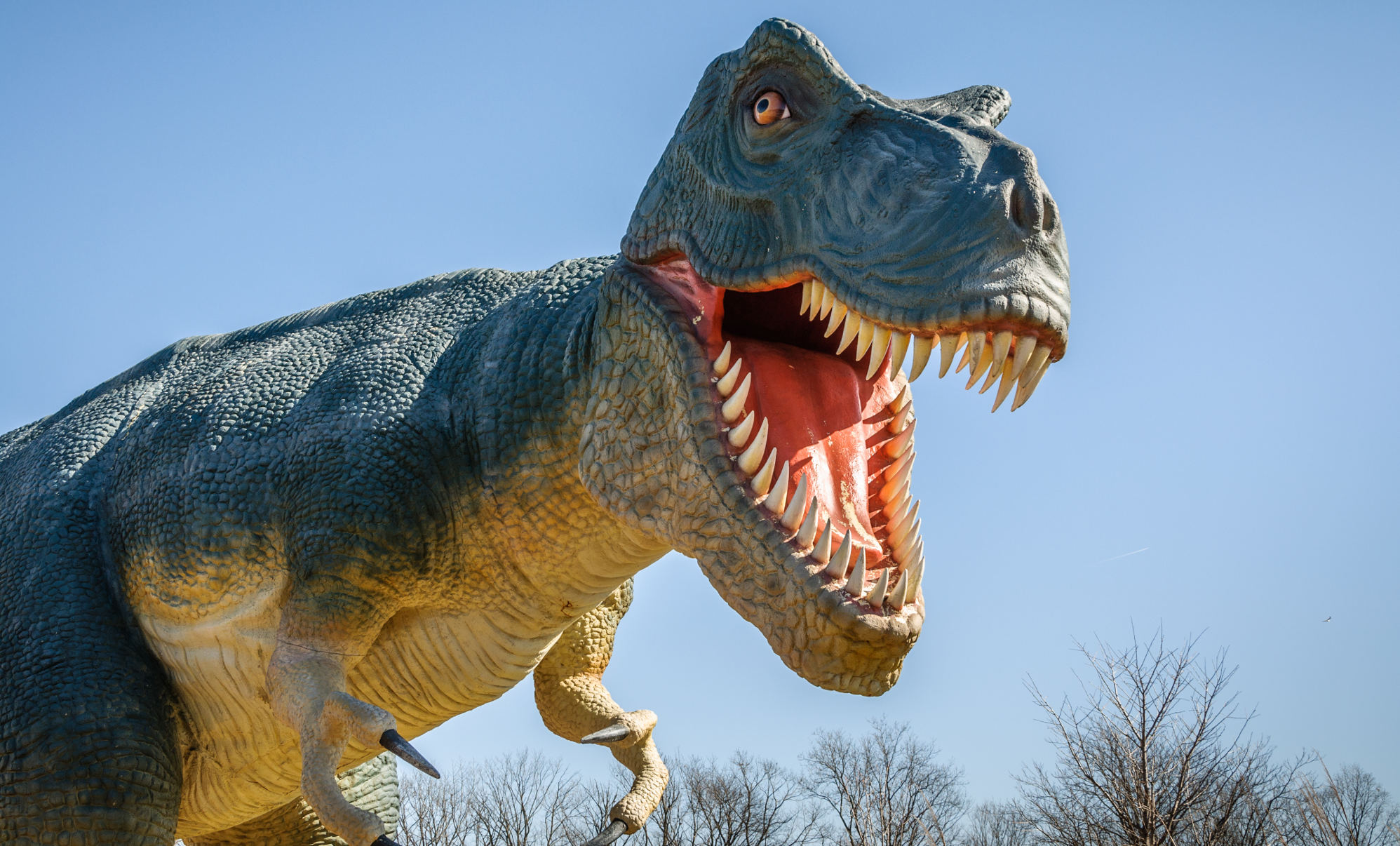 Dinosaurios en Utrera: Dinosaurs Tour, la exposición más real