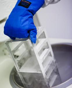 El frío ayuda a la conservación de las muestras