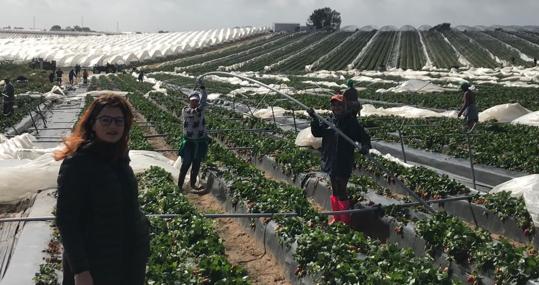 Nazaret Rodríguez evalúa los daños en el invernadero