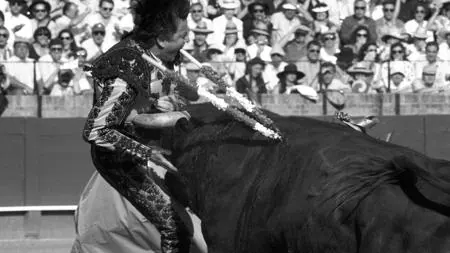 El fotoperiodista Emilio Morenatti recibió el Premio Andalucía de Periodismo 1992 por esta imagen de la fatídica cornada a José Manuel Calvo Bonichón «Manolo Montoliú»