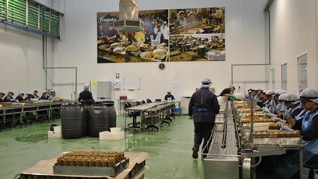 Trabajadores de Angel Camacho Alimentación en la fábrica morenense