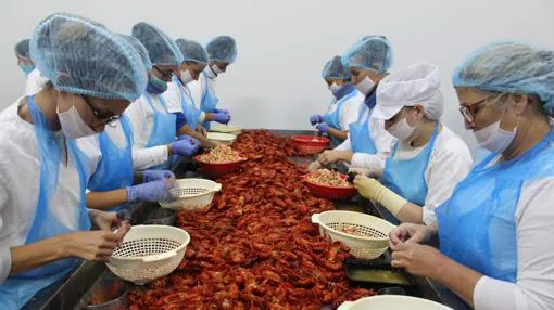 Factoría donde se procesa el cangrejo rojo