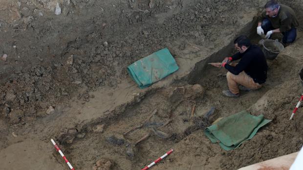 Los trabajos ya han sacado a la luz los restos de un esqueleto casi al completo y dos cráneos más.