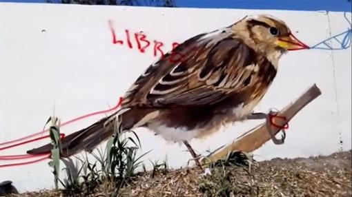 Indignación entre los vecinos de Écija tras el destrozo de unos vándalos a una ambiciosa pintura mural