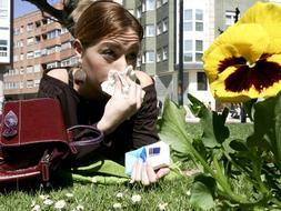 Espa�a sufrir� un aumento de alergias y enfermedades respiratorias a causa del cambio clim�tico