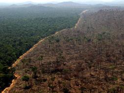 Alta tecnología para rastrear la Amazonía y ubicar tribus aisladas