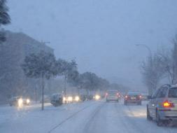 La imprevisi�n causa el caos