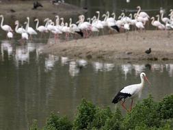 Las cuatro estaciones del Guadalquivir
