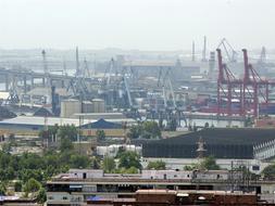 La riqueza de un río vivo