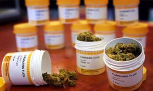 El cannabis podr�a ayudar a combatir el c�ncer de pr�stata