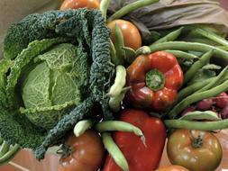 Los precios de los alimentos registraron ca�das generalizadas en agosto