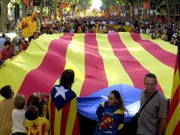 �Derramar sangre por el Rey y Espa�a�