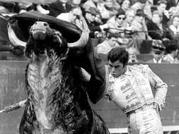 Telecinco estrena esta noche una serie sobre la vida y muerte de Paquirri