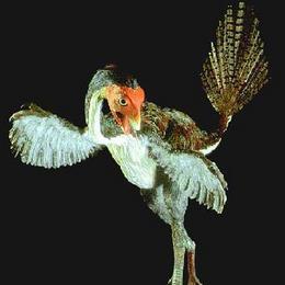 Los cinco mayores fraudes científicos que llegamos a creernos