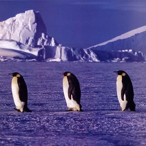 La Ant�rtida �escapa� del cambio clim�tico gracias al agujero en la capa de ozono