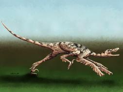 Hallan una terrible ave prehistórica que paralizaba a sus víctimas con veneno