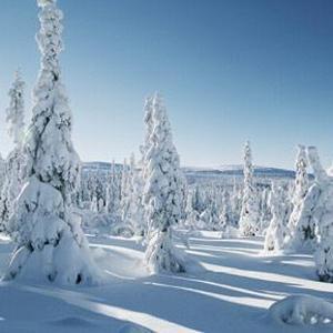 Una ola de frío nunca vivida en Suecia