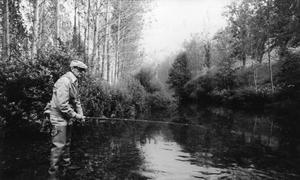 Miguel Delibes en la literatura de la naturaleza