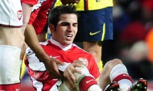 Cesc estar� seis semanas de baja