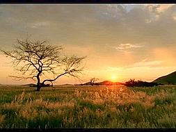 Elena Anaya y Jennifer Lpez compiten en la cartelera del fin de semana