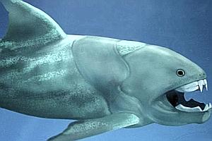 Los vertebrados, hijos de la gran extinción del Devónico