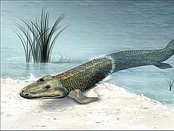 Los vertebrados, hijos de la gran extinción del Devónico