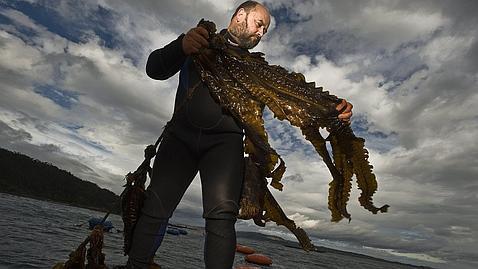 Los rostros del cambio clim�tico