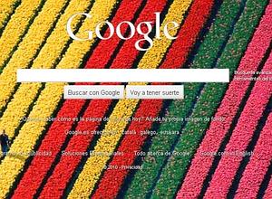 Google se convierte en Bing