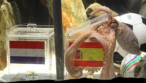 Paul volvi a clavarla