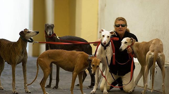 Lola Bustillo se dispone a salir de paseo con sus galgos por las calles de Sanlúcar de Barrameda.