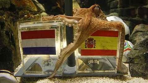 «Pulpo Paul» ya tiene copyright «Pulpo Paul» ya tiene copyright