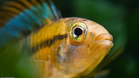 750 millones de euros para la conservaci�n de la naturaleza