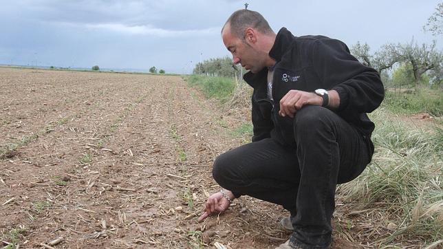 El alza de las materias primas amenaza el buen momento de la economía mundial El alza de las materias primas amenaza el buen momento de la economía mundial