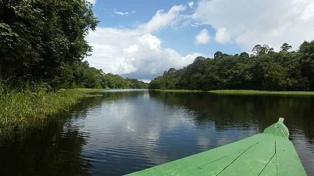 Dos sequías en cinco años en el Amazonas preocupan a los científicos Dos sequías en cinco años en el Amazonas preocupan a los científicos