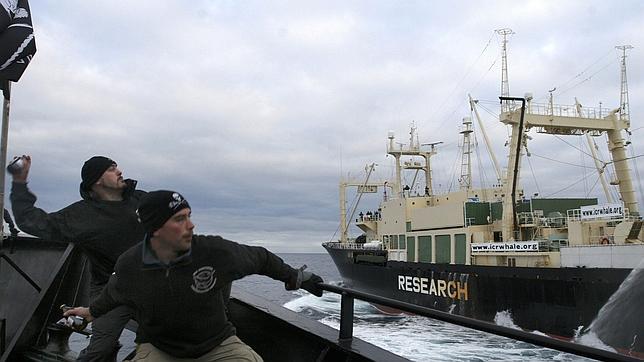 Japón suspende la actual temporada de caza de ballenas en la Antártida Japón suspende la actual temporada de caza de ballenas en la Antártida