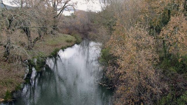 Los bosques espa�oles se han duplicado en los �ltimos cien a�os