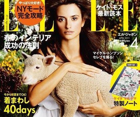 Penélope Cruz reaparece en una portada Penélope Cruz reaparece en una portada