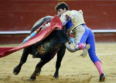 La emoción del toro serio La emoción del toro serio