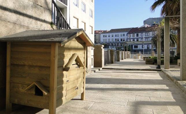 Fogares para gatos abandonados