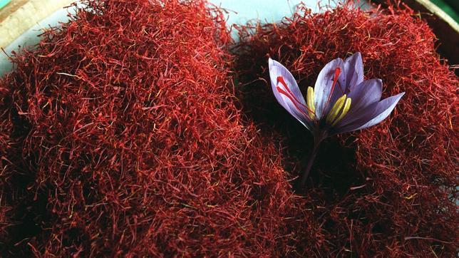 El azafrán y el ginseng, los mejores afrodisiacos naturales El azafrán y el ginseng, los mejores afrodisiacos naturales