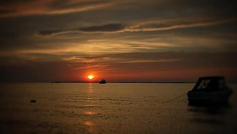 Identifican 657 nuevos para�sos