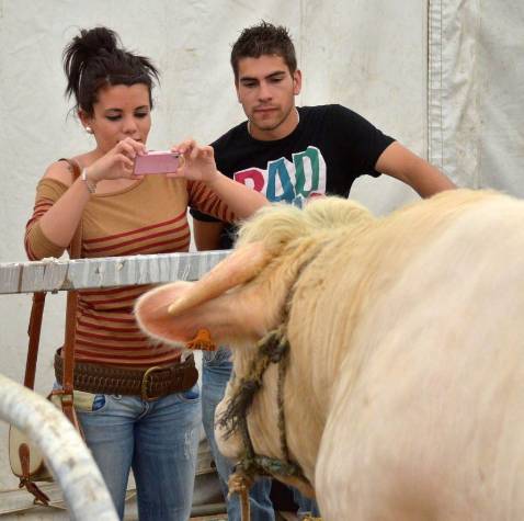 La Feria Agroganadera cierra con un volumen de negocio de 1,3 millones
