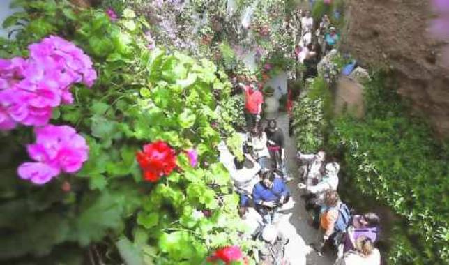 Hostecor rechaza que la acusen de lucrarse con los patios Hostecor rechaza que la acusen de lucrarse con los patios