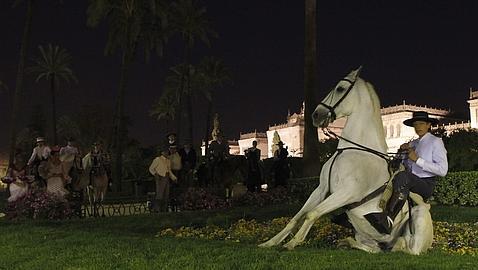 Desmadrados tras la fiesta Desmadrados tras la fiesta