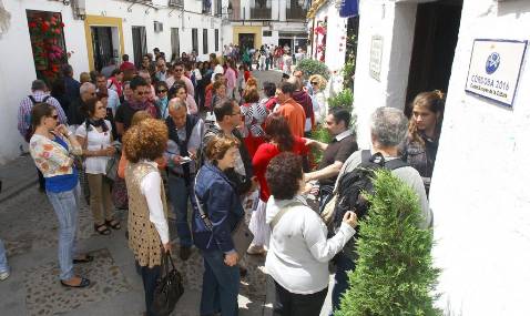 Tiestos de alegr�as y decepciones