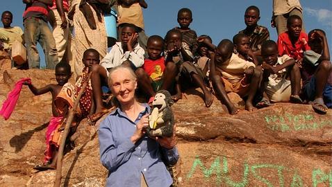 El fabuloso viaje de Jane Goodall El fabuloso viaje de Jane Goodall