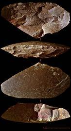 En busca del último neandertal